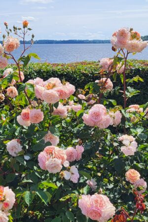 Praktiska kursdagar på Bosjökloster