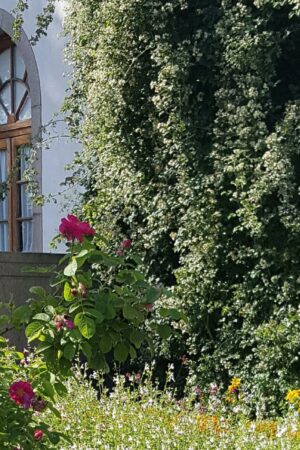 Praktiska kursdagar på Prins Eugens Waldemarsudde